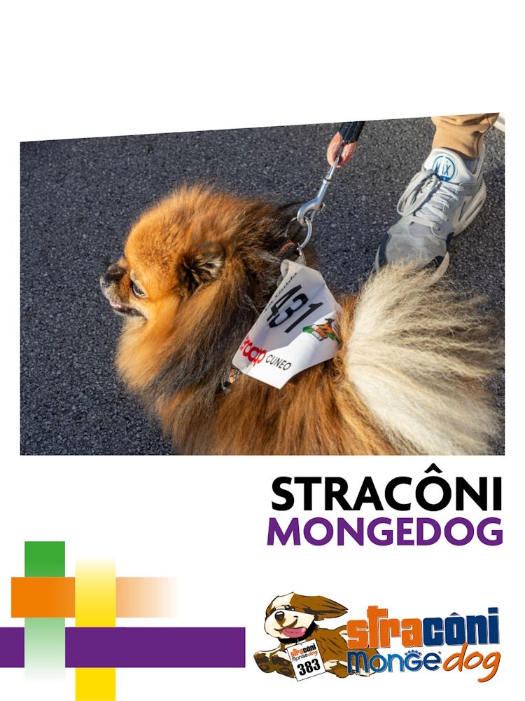 Straconi eventi 2026 11