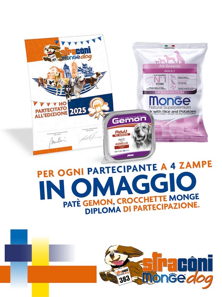 Straconi Monge 2026 2